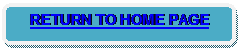 Rounded Rectangle: RETURN TO HOME PAGE