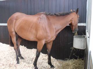 1 Cue Card.jpg