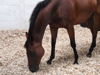 3 Thistlecrack.jpg