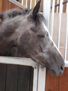 105 War Lord.jpg