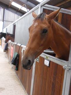 111 Lizzie Langton.jpg