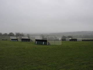 On the gallops 2.jpg