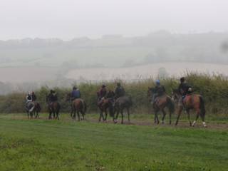 On the gallops 4.jpg