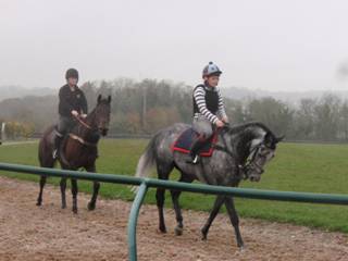 On the gallops 5.jpg