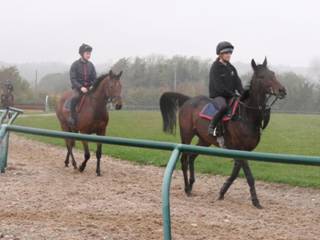 On the gallops 6.jpg
