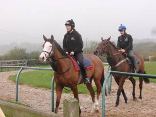 On the gallops 18.jpg