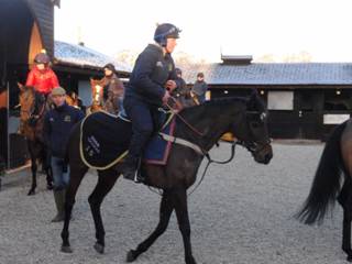 JS 4.jpg