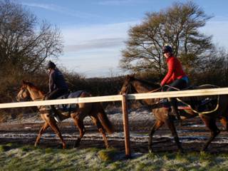 JS 23.jpg