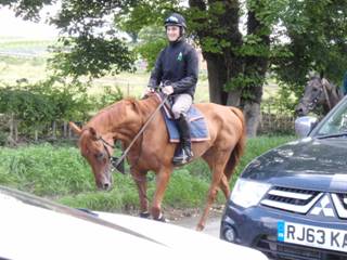 b Gallops.jpg