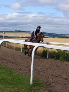 c Gallops.jpg