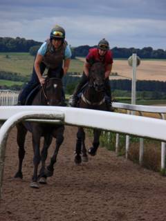 d Gallops.jpg