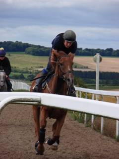 e Gallops.jpg