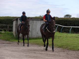 h Gallops.jpg