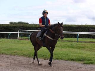 i Gallops.jpg