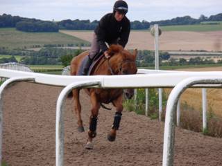 l Gallops.jpg