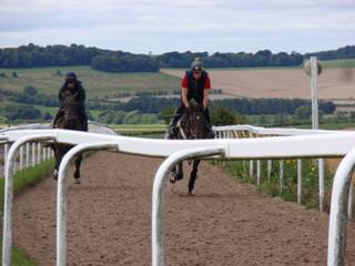 m Gallops.jpg