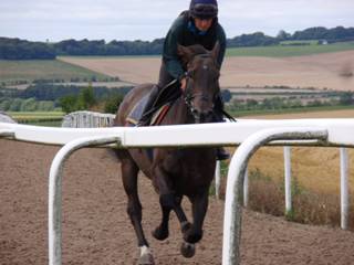 n Gallops.jpg