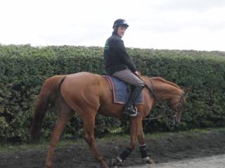 p Gallops.jpg