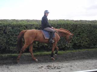 r Gallops.jpg