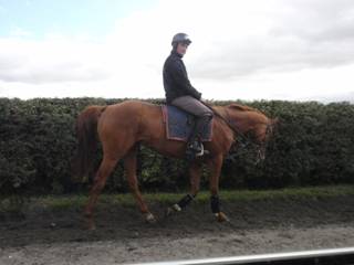 s Gallops.jpg