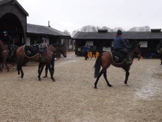 A Gallops.jpg