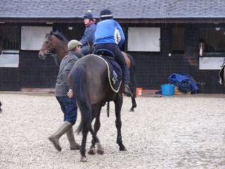 C Gallops.jpg
