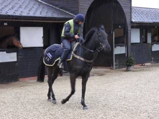L Gallops.jpg