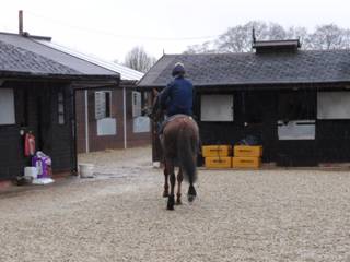 M Gallops.jpg