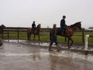 Q Gallops.jpg