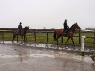 R Gallops.jpg