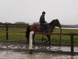 S Gallops.jpg