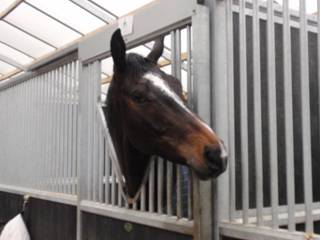 Y Footloose.jpg