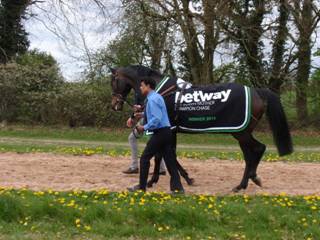Parade 3 Sprinter Sacre.jpg