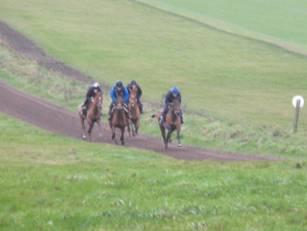 Gallops 4.jpg