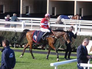 Race 3 g Tara View.jpg