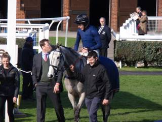 Race 3 h Snow Leopardess.jpg