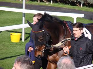 Race 4 Timoteo.jpg