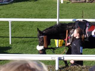 Race 4 b Buckle Street.jpg