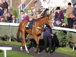 Race 5 a Sir Antony Browne.jpg