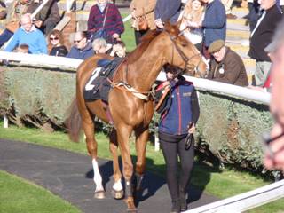 Race 5 b Sir Antony Browne.jpg
