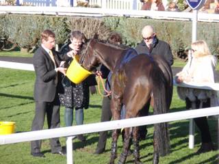 Race 5 j Adrrastos.jpg
