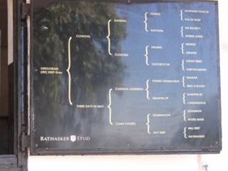 Gregorian pedigree.jpg