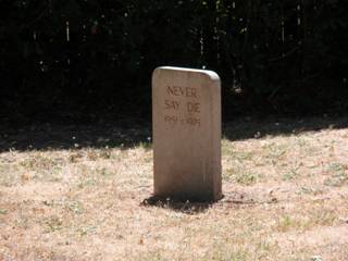 Headstone - Never Say Die.jpg