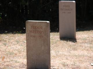 Headstones - TM & SP.jpg