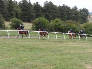 Gallops 2.jpg