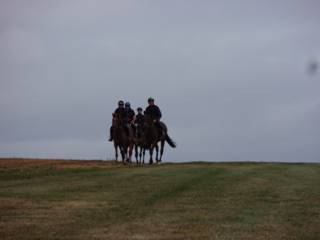 Gallops 4.jpg
