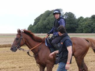 Gallops 5.jpg