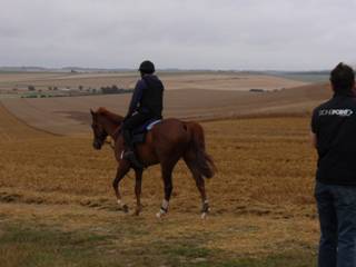 Gallops 6.jpg