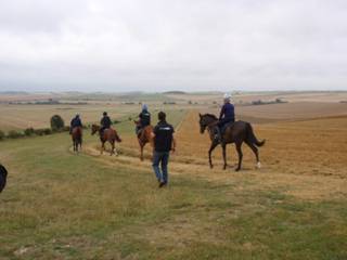 Gallops 7.jpg