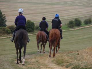 Gallops 8.jpg